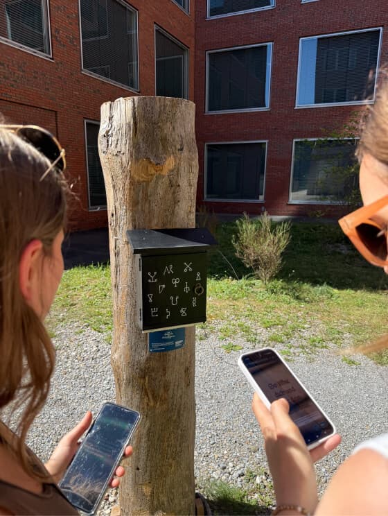 Picture of a physical puzzle